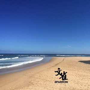 何宏军最新消息今天
