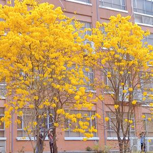 何宏军最新消息今天
